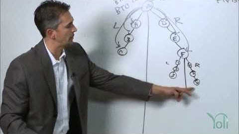 Yoli - Binary Team Commissions Explained