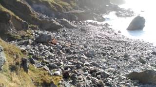 Playa Pedras Negras en Teixidelo - San Andrés de Teixido (Cedeira)
