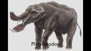 PREHISTORIC ANIMALS A TO Z