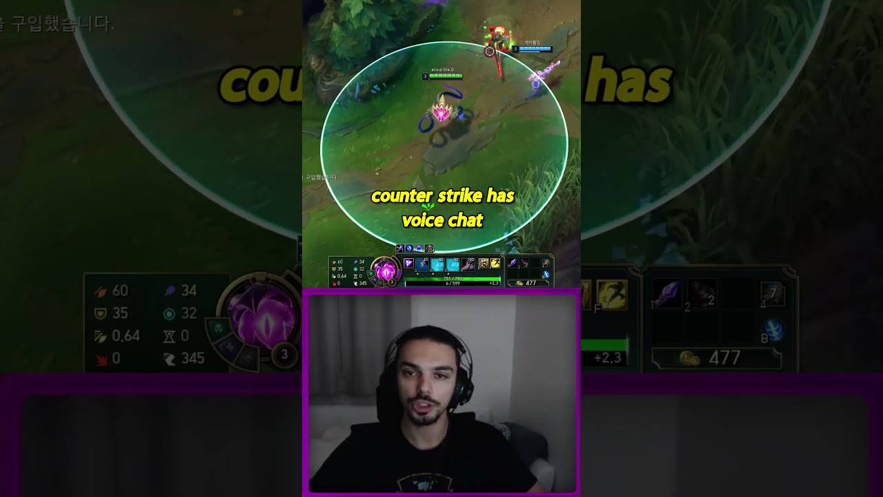 Why League of Legends doesn't have voice chat? (Not What You Think)