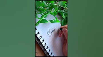 Tabeeba | name request calligraphy @Strokes and Curves