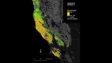 Center for Applied GIS: D3ANIM SingleRun High ZoomIn 1990-2030