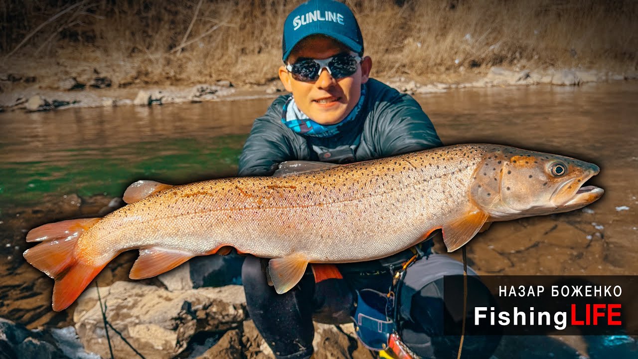 НАЙРІДКІСНІША Реліктова Риба УКРАЇНИ - Штраф 50 000 гривень