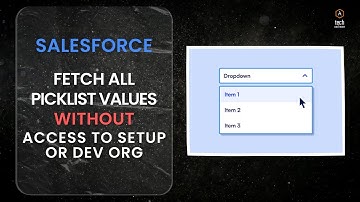 Salesforce || How to fetch all picklist values without access to Setup or Dev Console #howto #guide