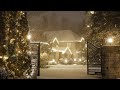 Winter snow storm blizzard howling sounds wind at night ambience to relax