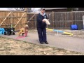 Weight Pull Training Weight Pull Training