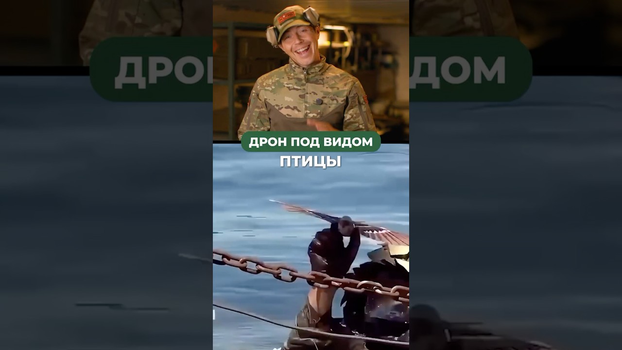 ДРОН ПОД ВИДОМ ПТИЦЫ! 🦅