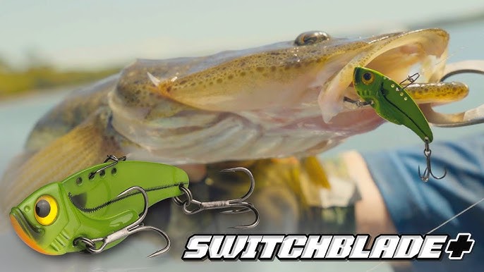 How to Catch Flathead - Fishing the TT SwitchPrawn+ Metal Vibration Blade  Lure 