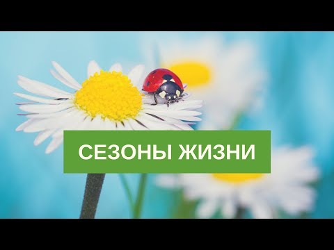 ДЖИМ РОН СЕЗОНЫ ЖИЗНИ СКАЧАТЬ БЕСПЛАТНО ДЖИМ РОН СЕЗОНЫ ЖИЗНИ СКАЧАТЬ БЕСПЛАТНО