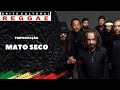 Grito cultural reggae  mato seco