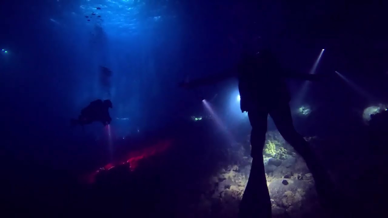 Kona Manta Rays - The Approach