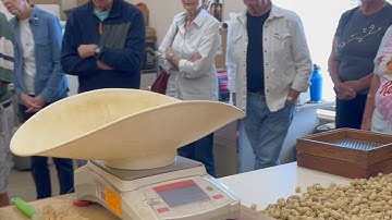 Peanut Grading Explained