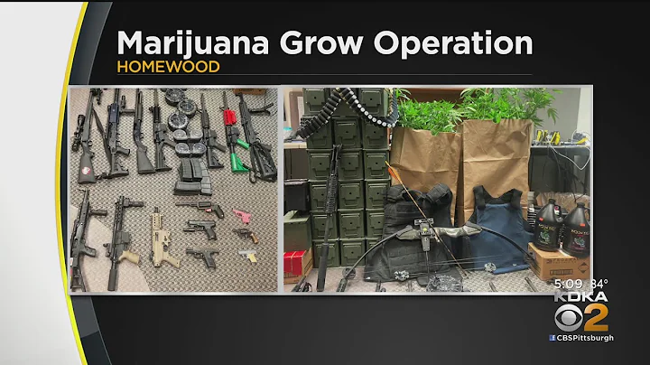 Police Seize Guns, Marijuana
