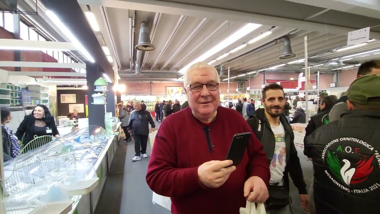 Modena 2023. Обзор рынка (Vögelbörse).