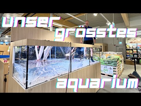 Ein XXL Aquarium für drei Kontinente | Letztes Update vor XXL Eröffnung Gotha
