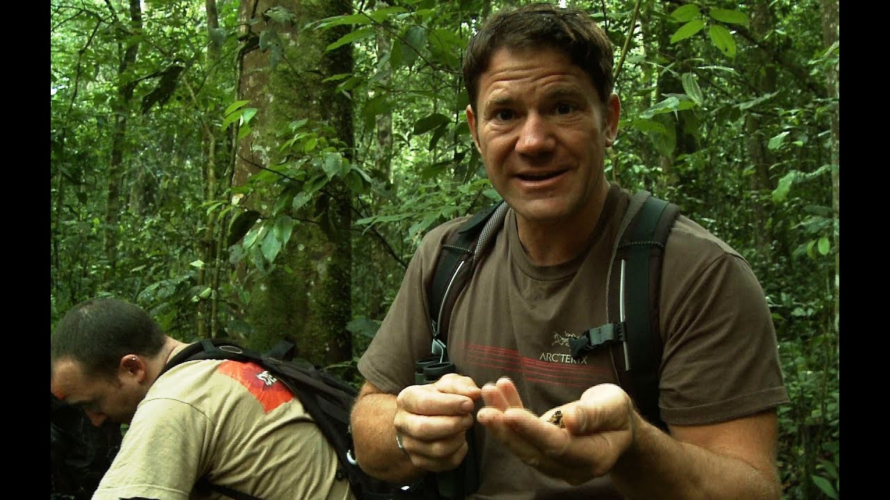 ⁣Chimpanzees hurl dung at Steve Backshall! | Deadly 60 | Series 2 | BBC