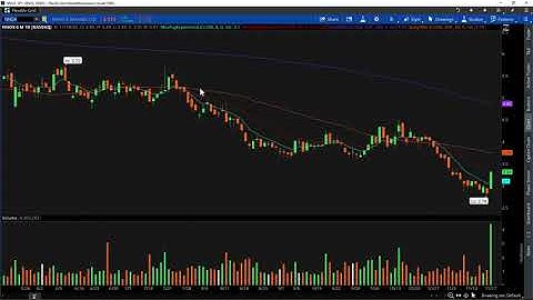 Watch List Video for November 19th