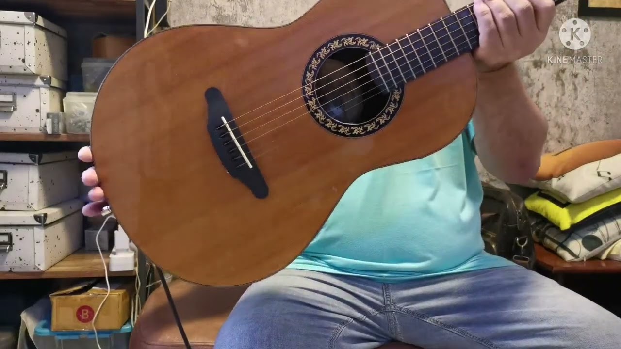 OVATION COLLECTORS SERIES 