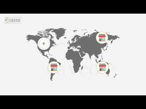 كيف تربح شركات الوساطة