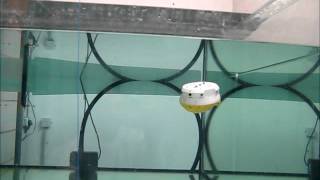 CoCoRo - Lilly AUV Diving Test.wmv