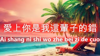 愛上你是我這輩子的錯 王愛華🎵Ai shang ni shi wo zhe bei zi de cuo（好聽 🎵 好听的老歌