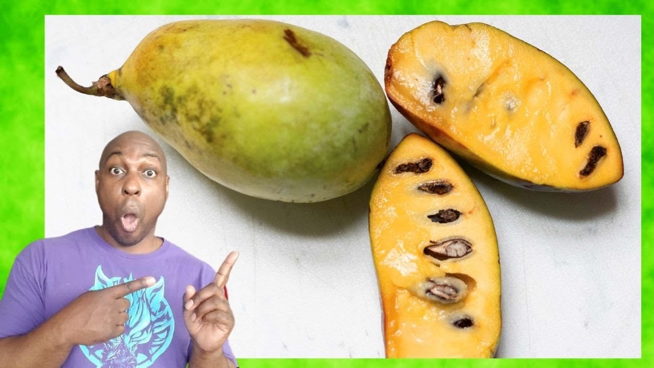 Is Paw Paw Good for You? YouTube