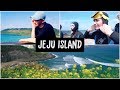 ODDEO! SCHERZO EPICO FINITO MALISSIMO  😂  |  Isola di Jeju