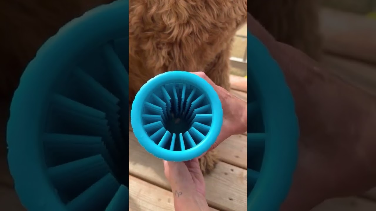 Amazon Pet Day Deals 2024 