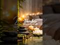 “Relax with bamboo and flowing water sounds 🌿🎶 #bamboo #relaxing #bamboosounds #relaxingmusic