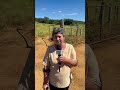 Mães Empreendedoras: Dona Rosa e Rafael Navarro | Empreendedorismo no Campo