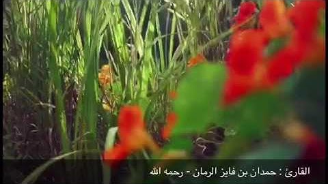 سورة يوسف آيه (٢٣-٣٥) للقارئ | حمدان بن فايز الرمان - رحمه الله