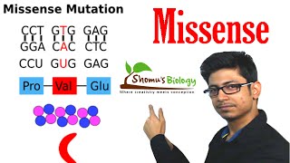 Missense mutation