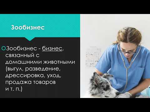 Ветеринарная Клиника - Основа Ветеринарного Бизнеса