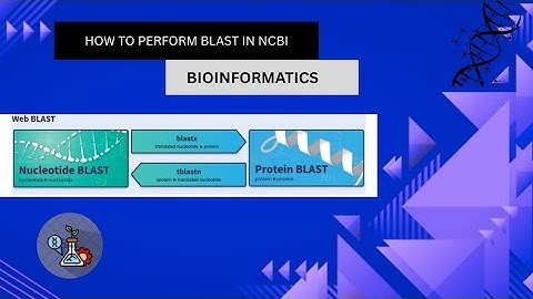 ncbi blast । blast bioinformatics । how to perform blast in ncbi । how to run ncbi blast