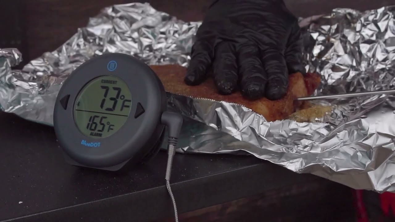 Review: ThermoWorks BlueDOT Probe Thermometer - TVWB