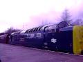 Deltic start up "Royal Scots Grey" - east lancs diesel gala spring 2009 - class 55