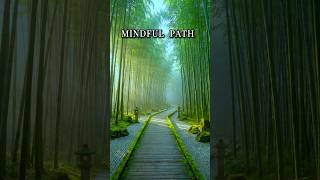 MINDFUL PATH | Calming Bamboo Forest Relaxation & Ambient Journey