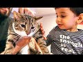 Cat Meets Baby For First Time!! (BABY LOVES HIM)