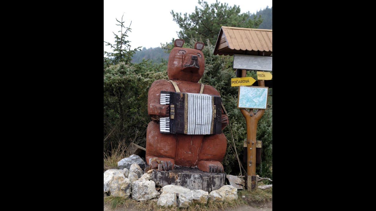 Počarovský medveď spolu