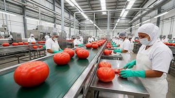 Inside the Heinz Factory – Cooking 5,000 Gallons of Ketchup at Once (Full Process)
