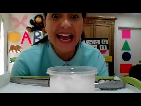 Excelsior Artz Preparatory School- Preschool Science Experiment with Miss Taylor