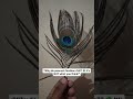 Why Do Peacock Feathers Fall? 🦚 The Truth Behind Molting! #shorts #shortsindia #peacock #feather
