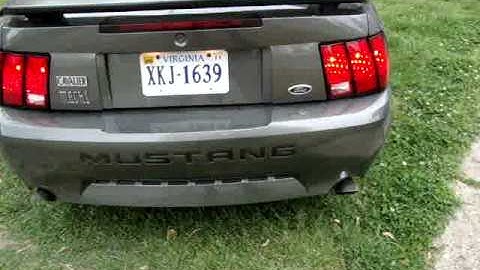 Cammed 03 Mach 1 idle