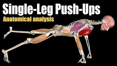 One Leg Push Ups | Watch all active muscles