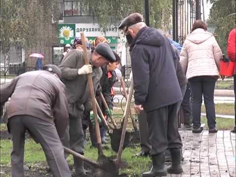 А ты посадил дерево? 