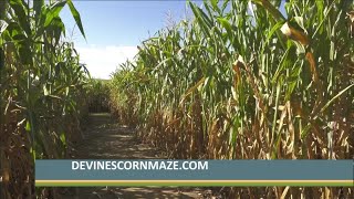 Congrats to Devine's Corn Maze & Pumpkin Patch