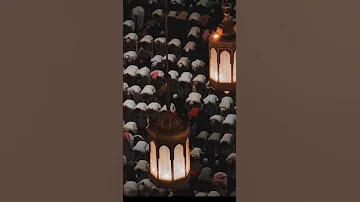يا مل يك ك ل م ن م لك يا ملاذ الهاربين ويا آمان الخائفين ويا جابر المنكسرين محمد البارقي 