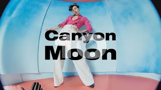 어느 여행자의 이야기: Harry Styles - Canyon Moon (2019) [Fine Line 앨범해석 - Track 10]