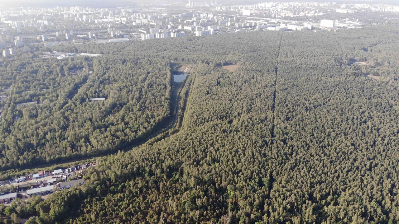 Лосиный остров королев Лосиный остров королев