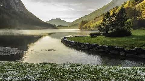 القارئ أنس الميمان  من سورة لقمان